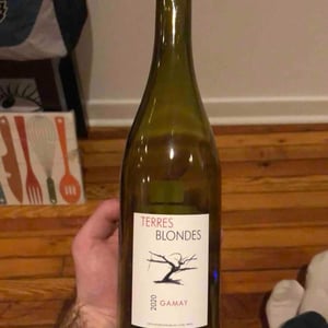 Gamay - Loire - terres-blondes