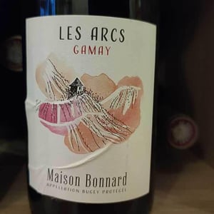 Les Arcs - Maison Bonnard - frederic-romain-et-anne-sophie-bonnard -2019