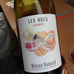 Les Arcs - Maison Bonnard - Frederic, Romain, et Anne-Sophie Bonnard -2019