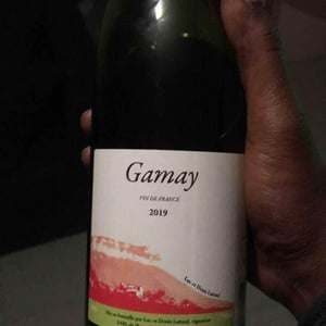 Domaine Lattard - Denis Lattard - Gamay