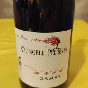 Gamay - Vignoble Pellerin - jean-christophe-baptiste-lucien-pellerin