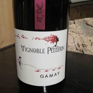 Gamay - Vignoble Pellerin - jean-christophe-baptiste-lucien-pellerin