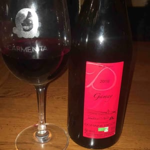 Gamay - Migot - migot