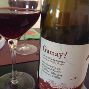 Gamay! - Bouillot-Salomon - François & Claire Bouillot-Salomon 