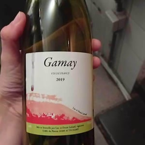 Gamay - Domaine Lattard - Denis Lattard 