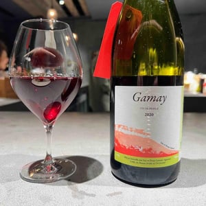 Gamay - Domaine Lattard - Denis Lattard 