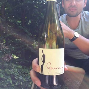 Hervé Villemade - Hervé Villemade - Gamay