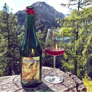 Smells like Teen Spirit but tastes like Penny royal tea Red - Quantum Winery - Florian Schuhmann-Irschik 