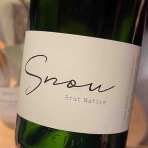 S nou Brut Nature - CELLER 9+ - Moises Virgili i Rovira -2021
