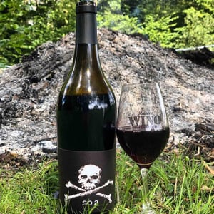 Domaine de l'R - Frédéric Sigonneau - SO 2