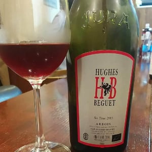 Domaine Hughes-Beguet - Caroline & Patrice Hughes Béguet - So True