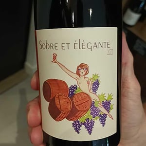 Sobre & élégante - Domaine Yoan Rega - yoan-rega