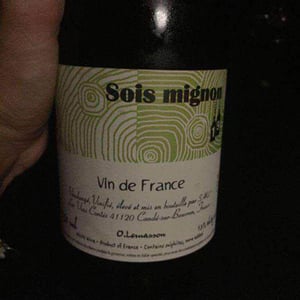 Sois Mignon - Les Vins Contés (CLOSED) - olivier-lemasson-closed