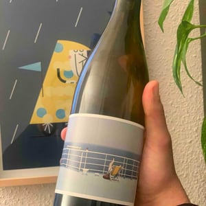 Clos des Grillons - Nicolas Renaud - Soleil 28