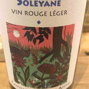 Soleyane - Mathieu Apffel - camille-mathieu-apffel -2020