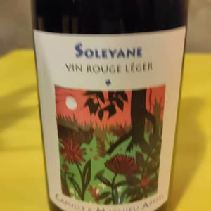 Soleyane - Mathieu Apffel - camille-mathieu-apffel -2020