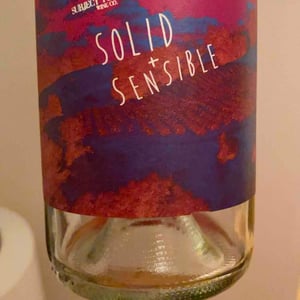 Solid And Sensible - Subject to Change - alex-pomerantz
