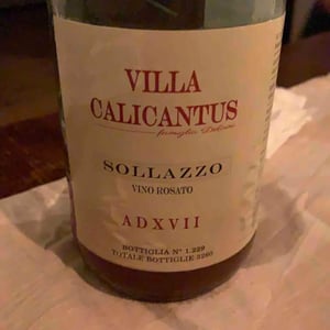 Villa Calicantus - Daniele e Chiara Delaini - SOLLAZZO
