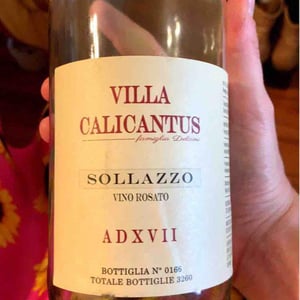 Villa Calicantus - Daniele e Chiara Delaini - SOLLAZZO