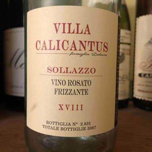 SOLLAZZO - Villa Calicantus - Daniele e Chiara Delaini 