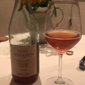 SOLLAZZO - Villa Calicantus - Daniele e Chiara Delaini 