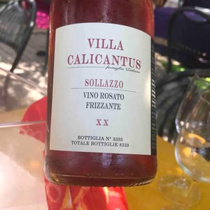 SOLLAZZO - Villa Calicantus - Daniele e Chiara Delaini 