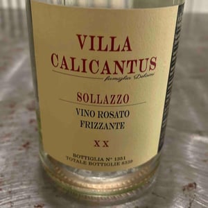 SOLLAZZO - Villa Calicantus - daniele-e-chiara-delaini