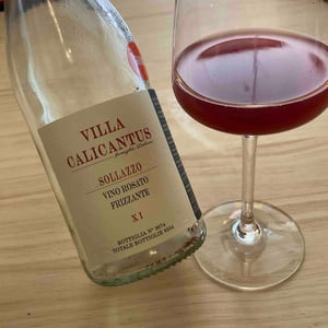 SOLLAZZO - Villa Calicantus - Daniele e Chiara Delaini 