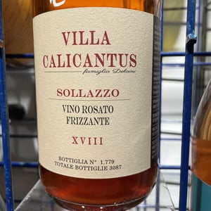 SOLLAZZO - Villa Calicantus - daniele-e-chiara-delaini