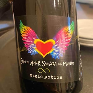 Magic Potion - Solo El Amor Salvara Al Mundo - Pablo Quiroga 