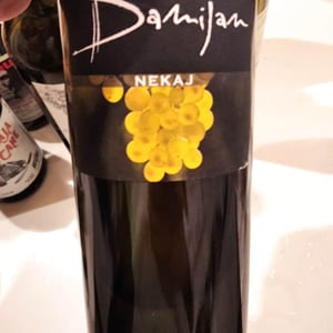 Nekaj - Damijan Podversic - damijan-podversic