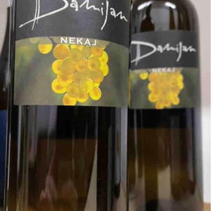 Nekaj - Damijan Podversic - damijan-podversic