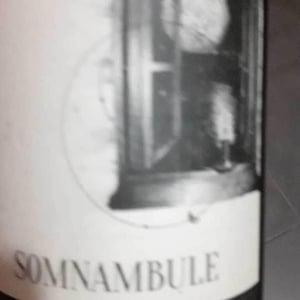 Somnambule - Le Fief Noir - dominique-sirot-alexis-soulas