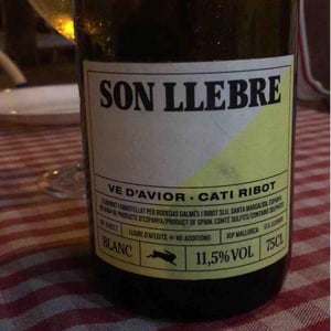 Son llebre blanc - Ve d'Avior - Cati Ribot 