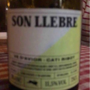 Son llebre blanc - Ve d'Avior - Cati Ribot 