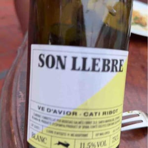 Ve d'Avior - Cati Ribot - Son llebre blanc