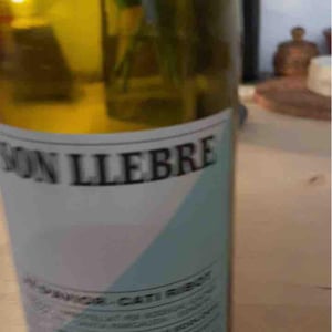 Ve d'Avior - Cati Ribot - Son llebre blanc