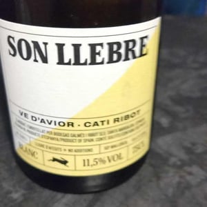 Ve d'Avior - Cati Ribot - Son llebre blanc