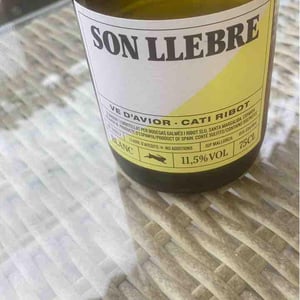 Son llebre negre - Ve d'Avior - cati-ribot -2020