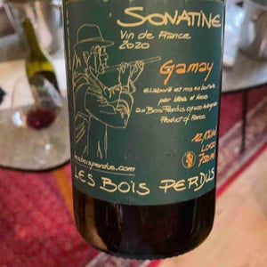 Sonatine - Les Bois Perdus - lena-perdu-alexis-robin