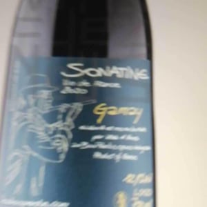 Sonatine - Les Bois Perdus - Léna Perdu & Alexis Robin 