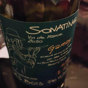 Sonatine - Les Bois Perdus - Léna Perdu & Alexis Robin 