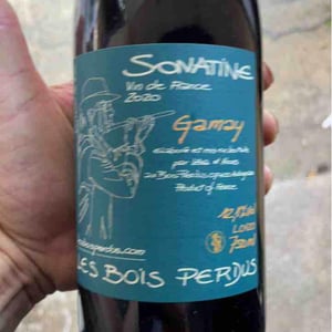 Sonatine - Les Bois Perdus - lena-perdu-alexis-robin
