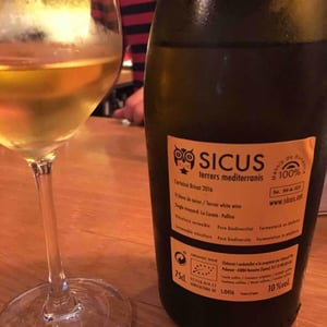 Sons Xarel.Lo - Sicus - Eduard Pié 