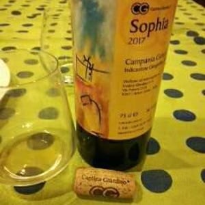 Sophia 2017