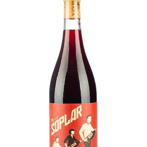 Soplar - Bodegas Moraza - janire-moraza-and-patricio-brongo -2024