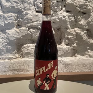 Soplar - Bodegas Moraza - janire-moraza-and-patricio-brongo -2024