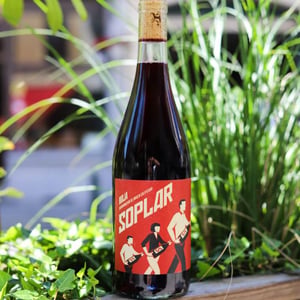 Soplar - Bodegas Moraza - Janire Moraza and Patricio Brongo -2024