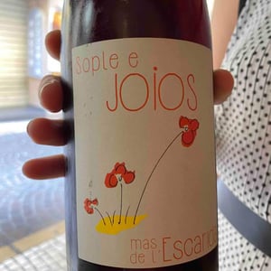 Mas de l’Escarida - Laurent Fell - Sople e Joios