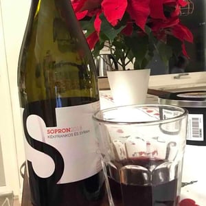 Soproni Pinot Noir - Wetzer Wines - peter-wetzer
